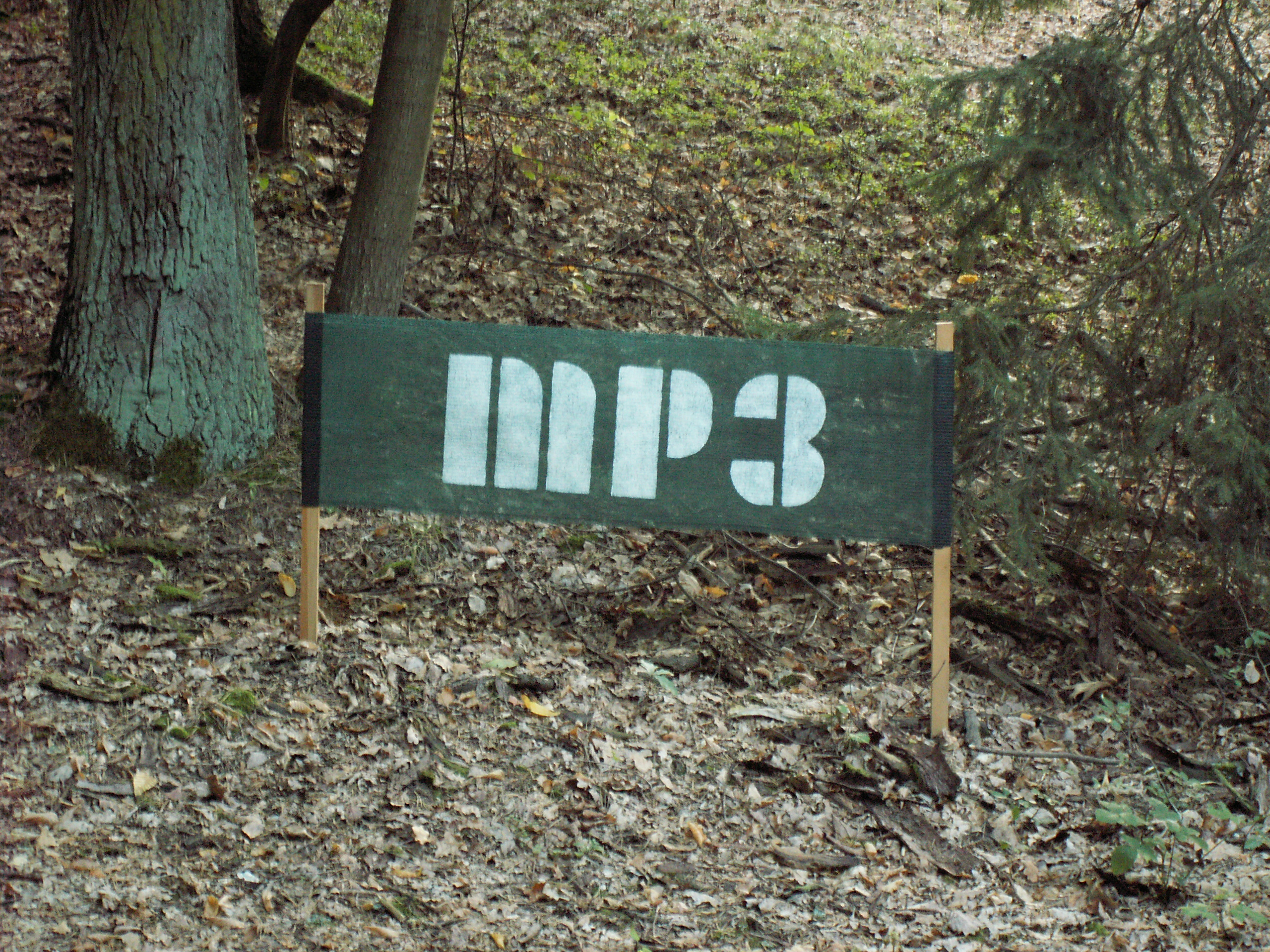 PICT0093
